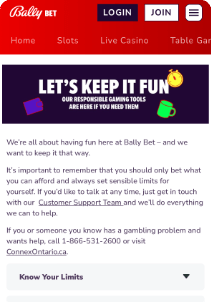 BallyBet mobile screen responsible games