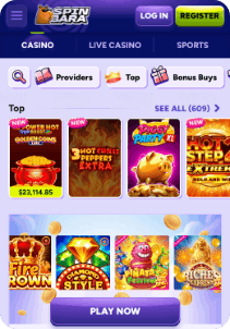 spinbara screen 2