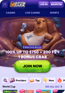 spinbara screen 4