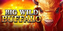 Big Wild Buffalo slot logo