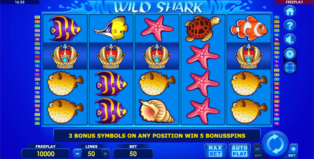 WildShark1 screen