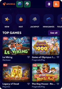 Winarius casino mobile screen slots games