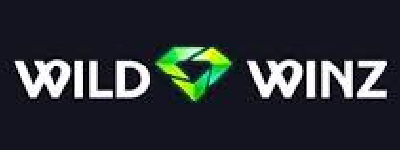 wildwinz casino logo