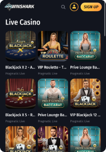 Winshark casino mobile screen live casino